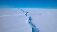 Peneliti ungkap rekor suhu tertinggi di Benua Antartika (net)