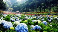 Taman bunga terindah di Indonesia (net)