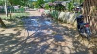 Banjir Tiga Kabupaten di Kalbar Berangsur Surut