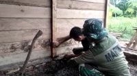 Rayakan HUT Lantamal XI ke -13, TNI AL Gelar Program Bedah Rumah di Merauke